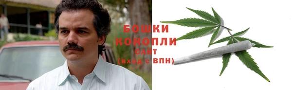 мдма Новозыбков
