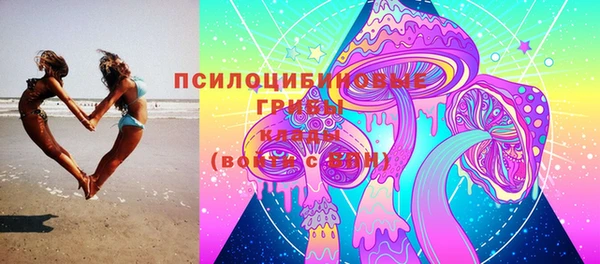спайс Бикин
